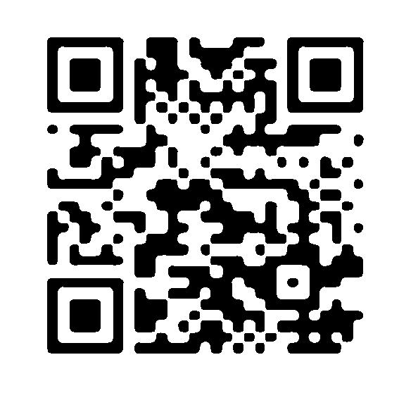 QR code DM Industrie